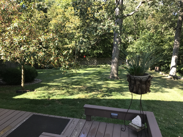 2115 East 875th Road Tonica, IL 61370 - Photo 26 of 41 a view of a lake with a yard