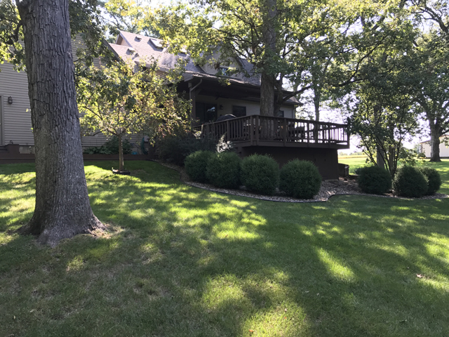 2115 East 875th Road Tonica, IL 61370 - Photo 37 of 41 a view of a yard with plants and large trees