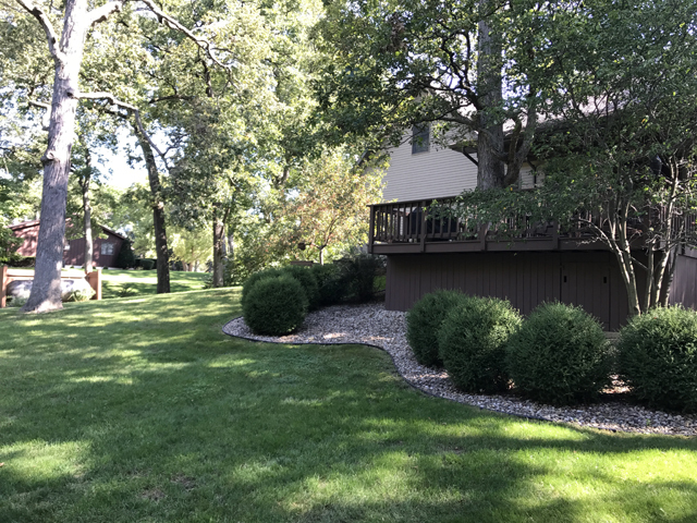 2115 East 875th Road Tonica, IL 61370 - Photo 38 of 41 a view of a house with a yard and a tree