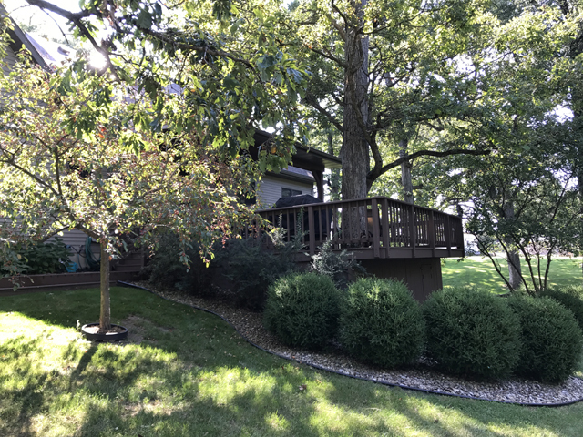 2115 East 875th Road Tonica, IL 61370 - Photo 39 of 41 a view of a garden with large trees