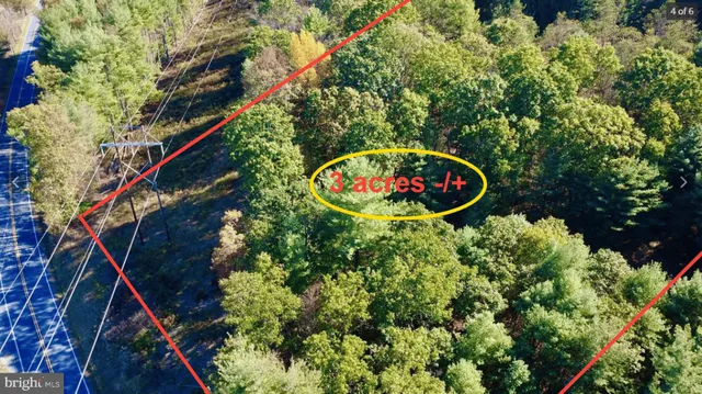 a view of a backyard with plants