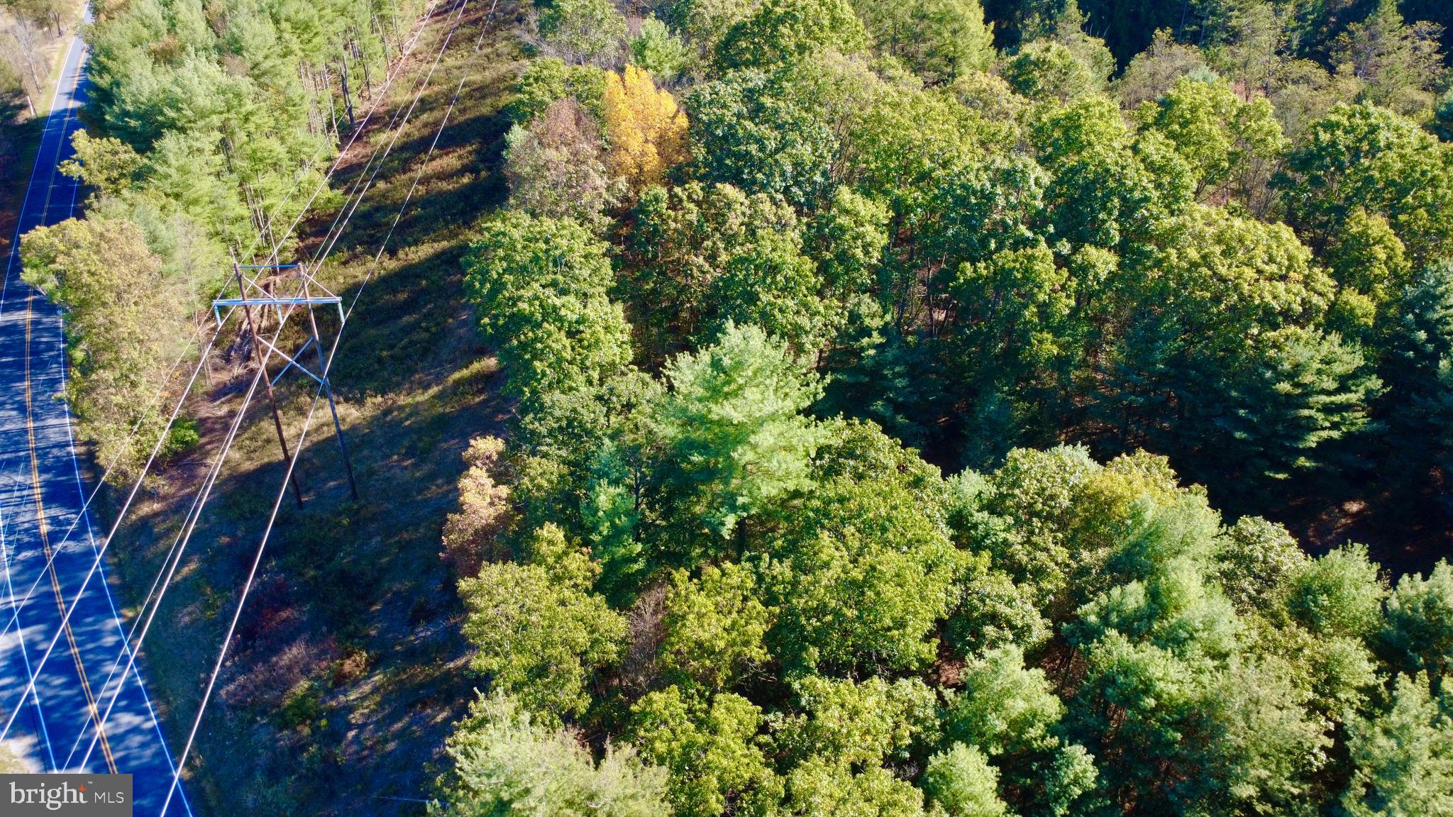 0 Pine Glen Road Karthaus, PA 16845 - Photo 2 of 7 a picture of trees