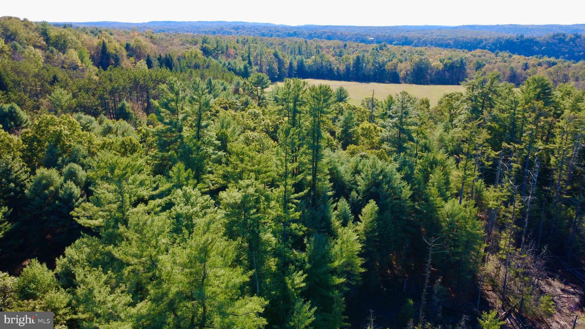 0 Pine Glen Road Karthaus, PA 16845 - Photo 3 of 7 a view of a lush green forest with a house in the background