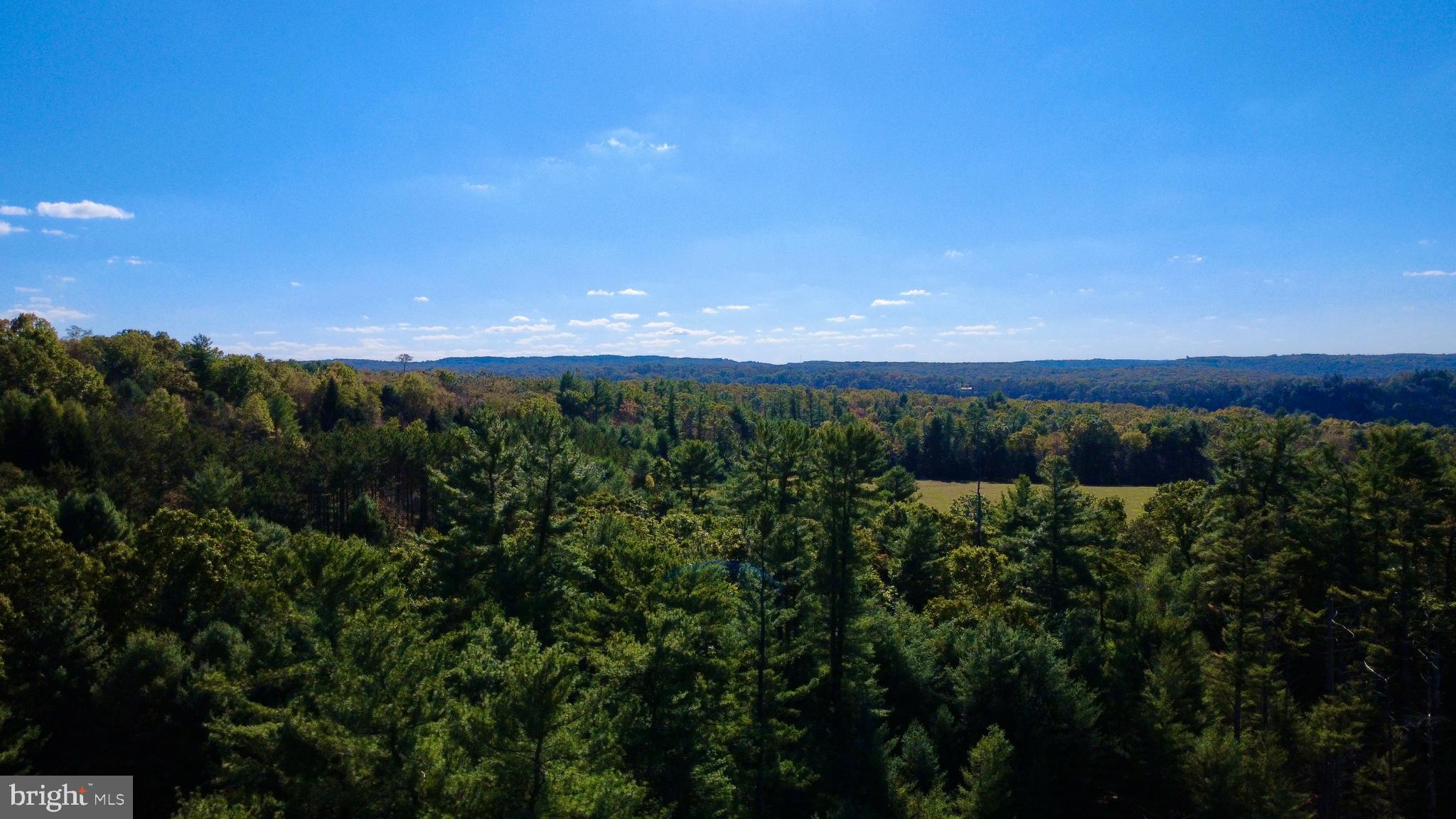 0 Pine Glen Road Karthaus, PA 16845 - Photo 6 of 7 a view of an outdoor space and a yard