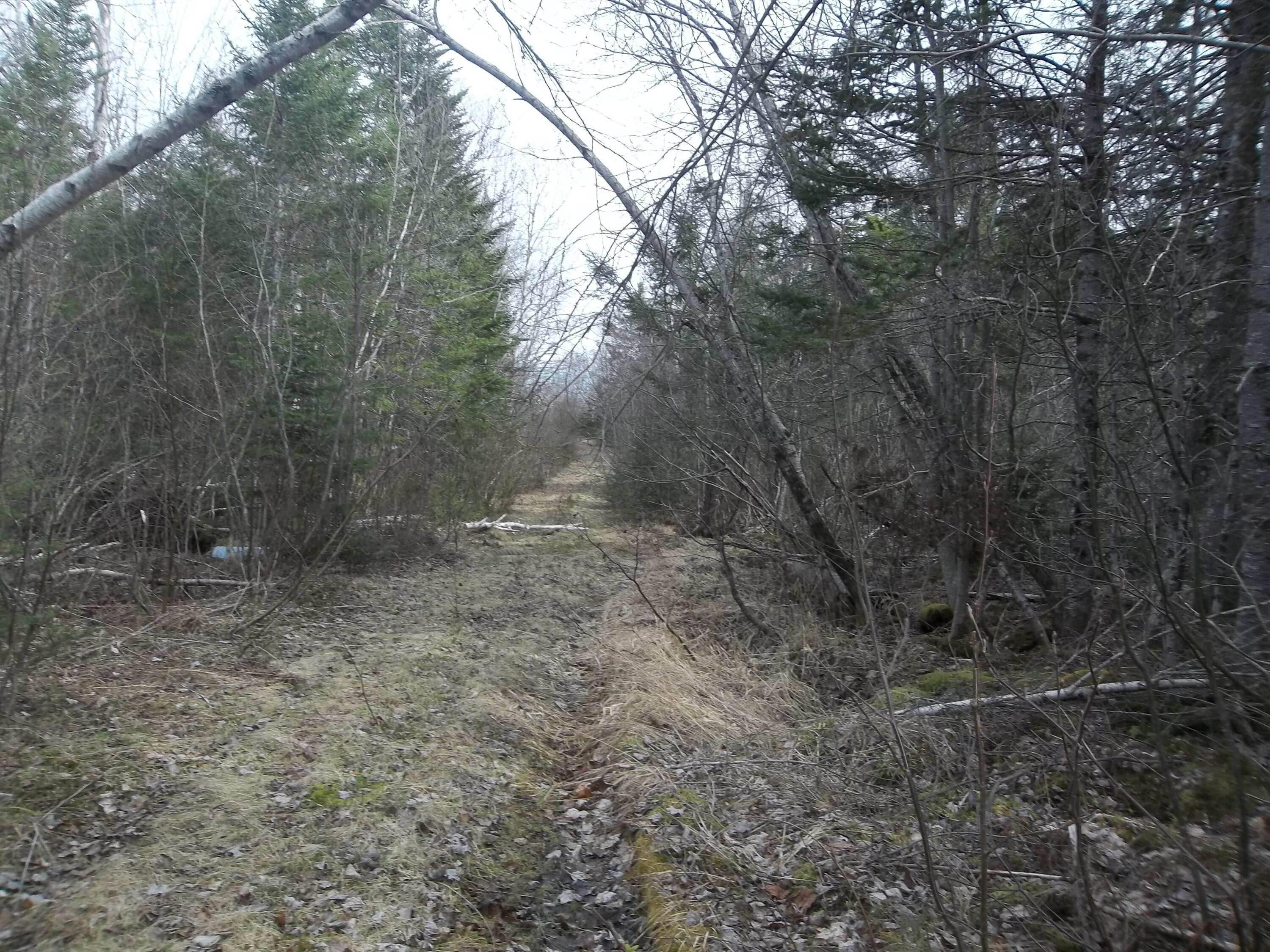 M8-l21 Ridge Road Robbinston, ME 04671 - Photo 5 of 5 100_0030