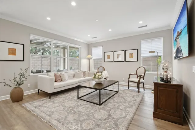 a living room with furniture and a potted plant