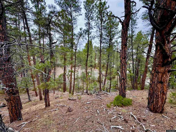 $179,000 | Tbd Tbd Recluse Hills Road, Recluse, WY 82725
