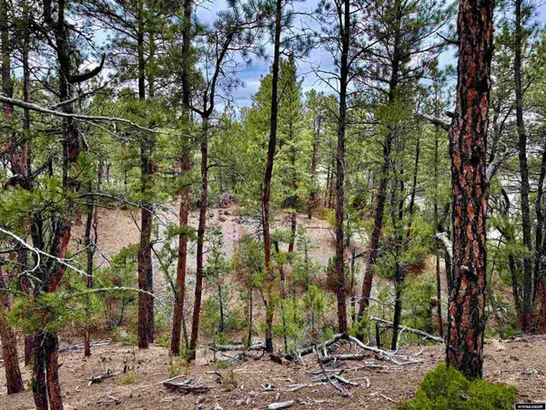 $179,000 | Tbd Tbd Recluse Hills Road, Recluse, WY 82725