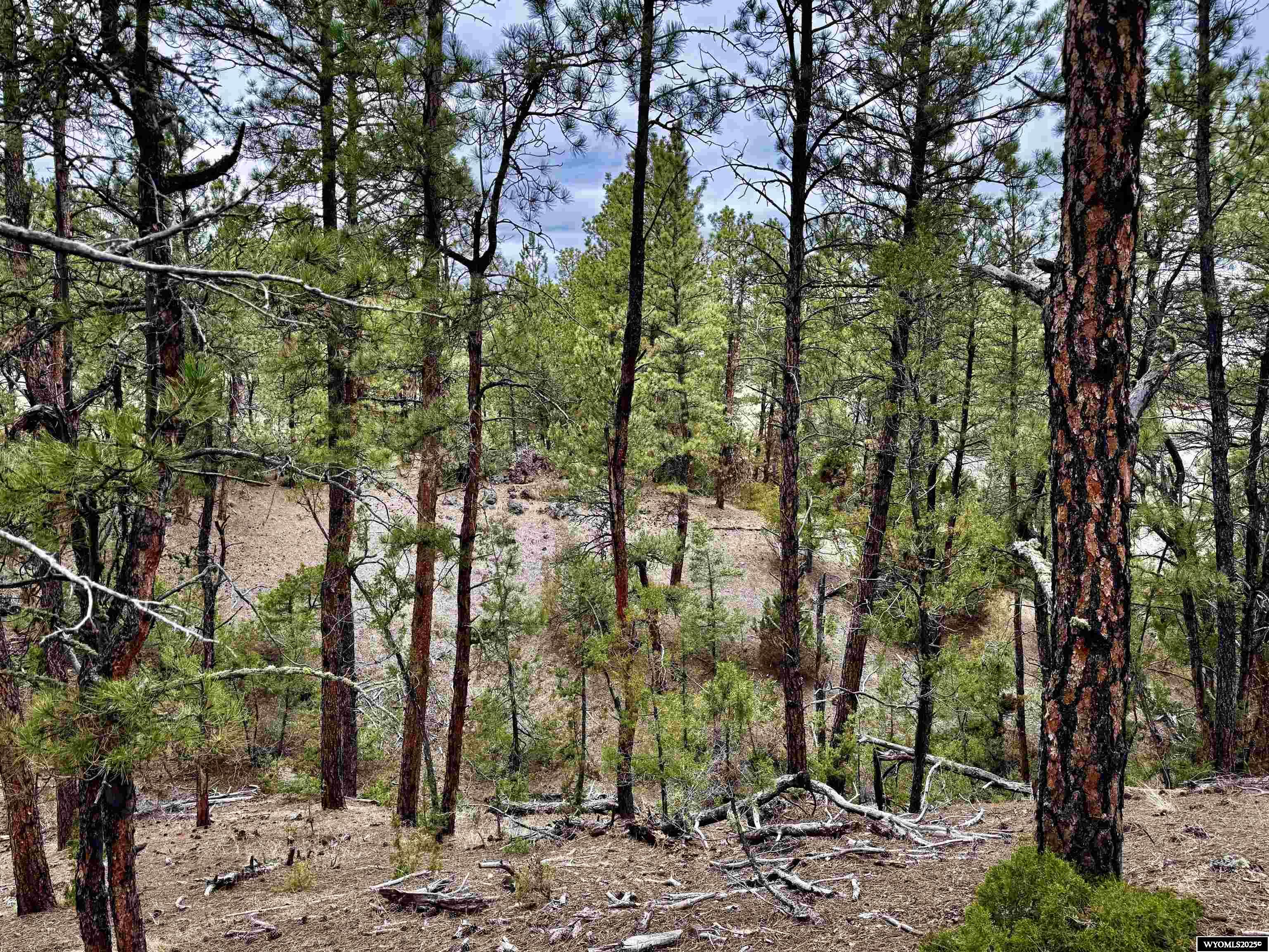 Tbd Tbd Recluse Hills Road Recluse, WY 82725 - Photo 10 of 14