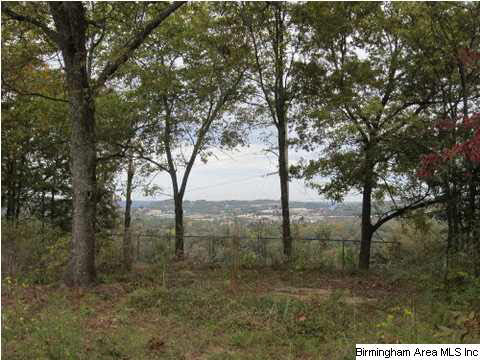 1836 Shades Crest Road Birmingham, AL 35216 - Photo 1 of 2