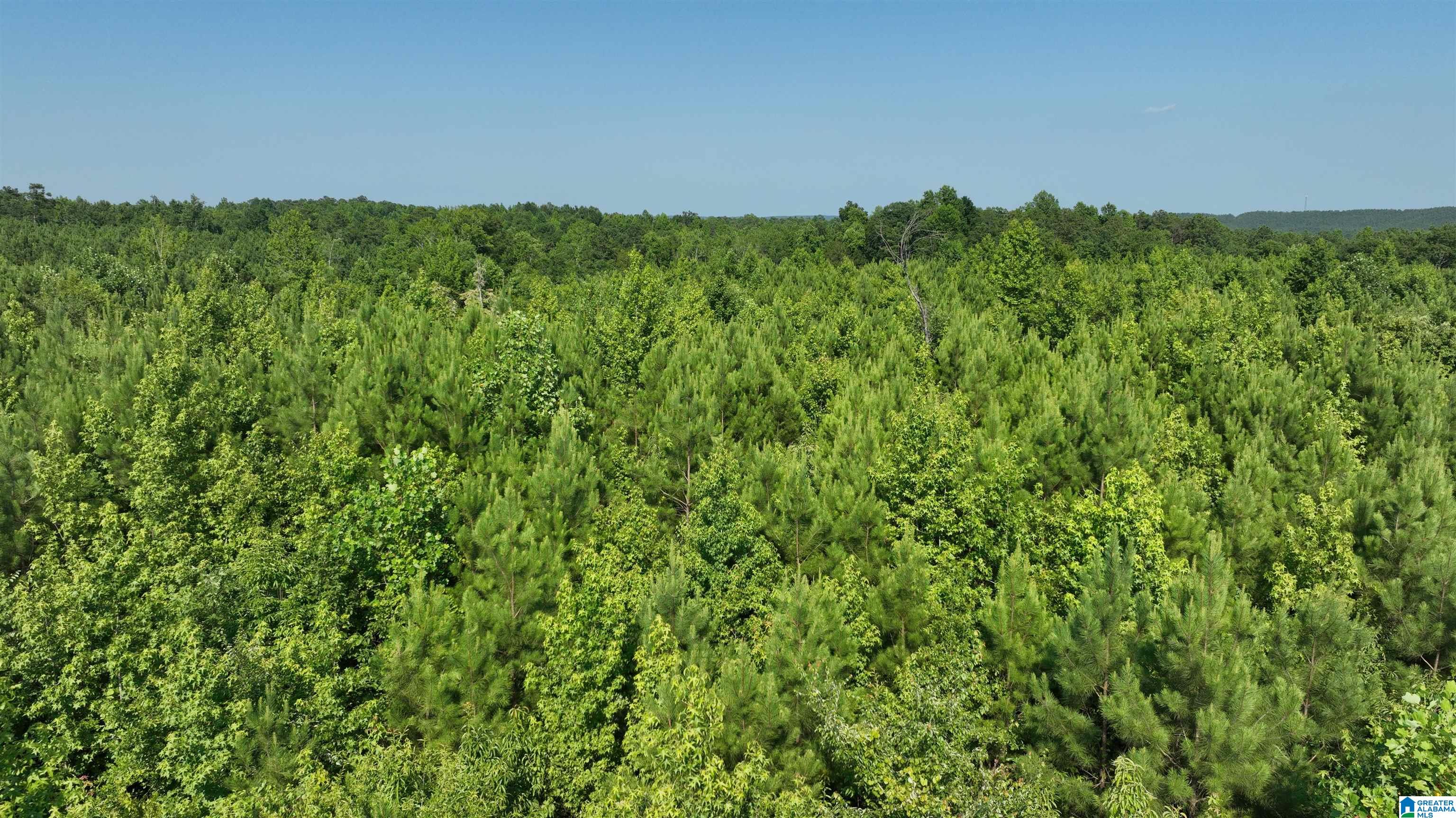2 County Road 253, Unit 2 Clanton, AL 35046 - Photo 35 of 40