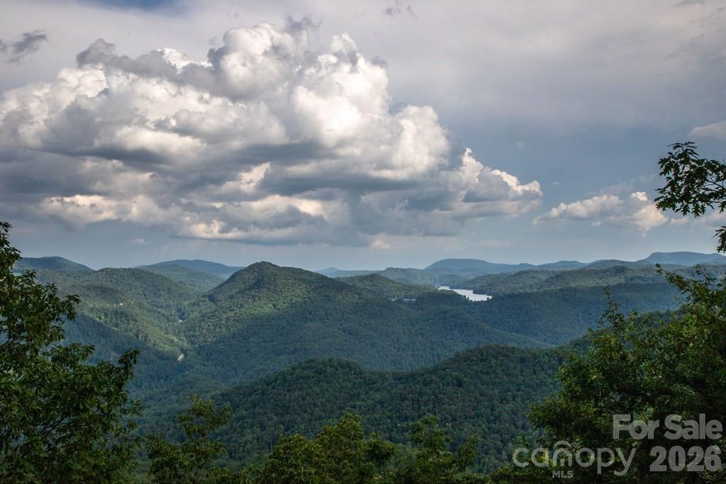 1783 West Cliff Road Cullowhee, NC 28723 - Photo 4 of 48