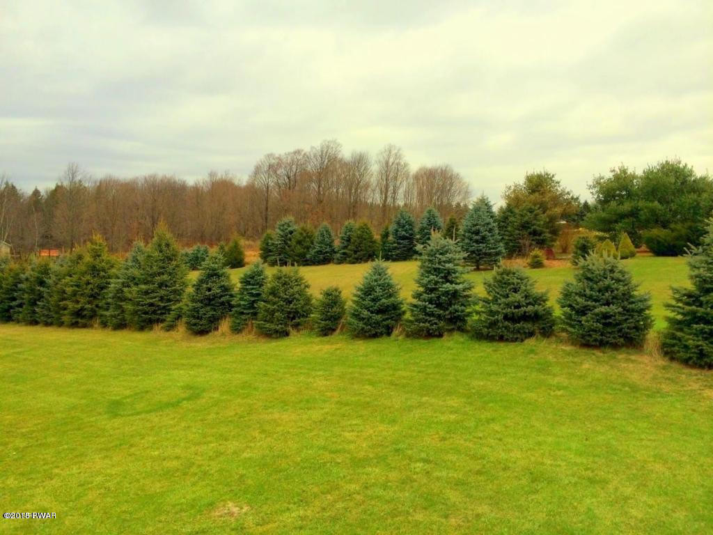 154 Spudeno Road Moscow, PA 18444 - Photo 10 of 42