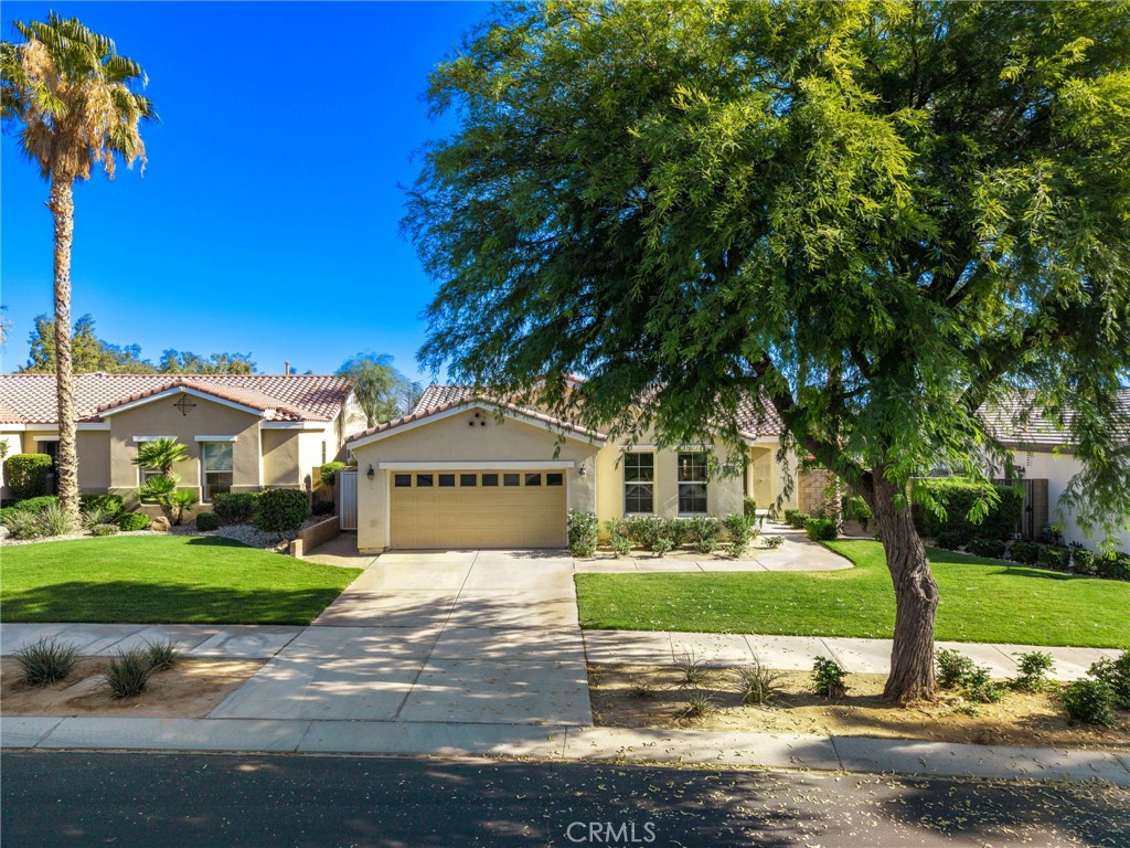81146 Barrel Cactus Road La Quinta, CA 92253 - Photo 3 of 63