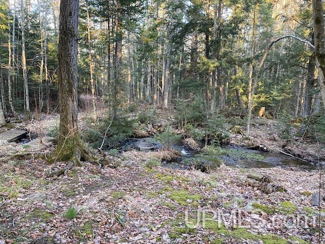 901-921 Sand River Road Deerton, MI 49822 - Photo 38 of 41 Gallery Image 38