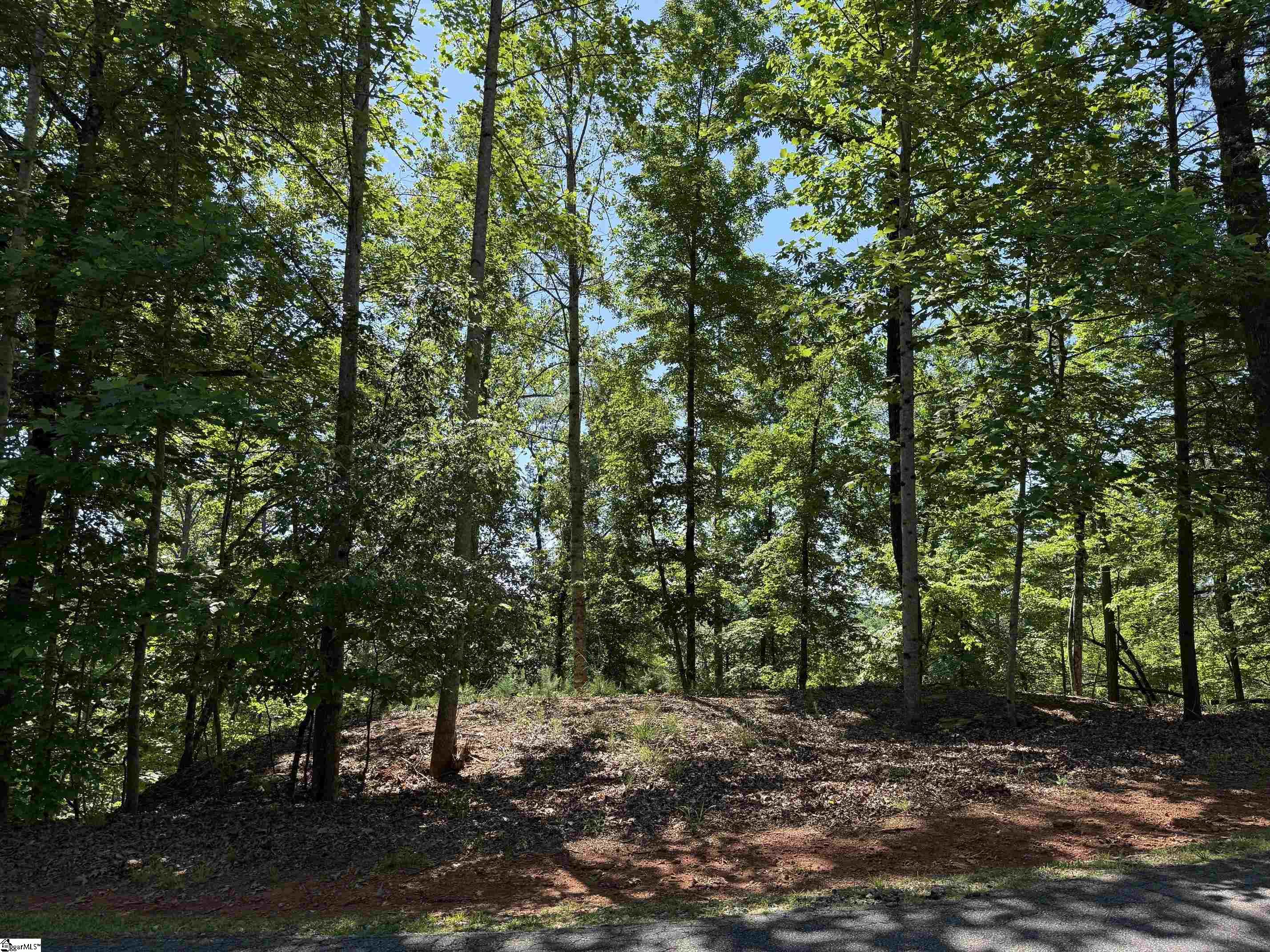 126 Summit Pine Sunset, SC 29685 - Photo 2 of 5