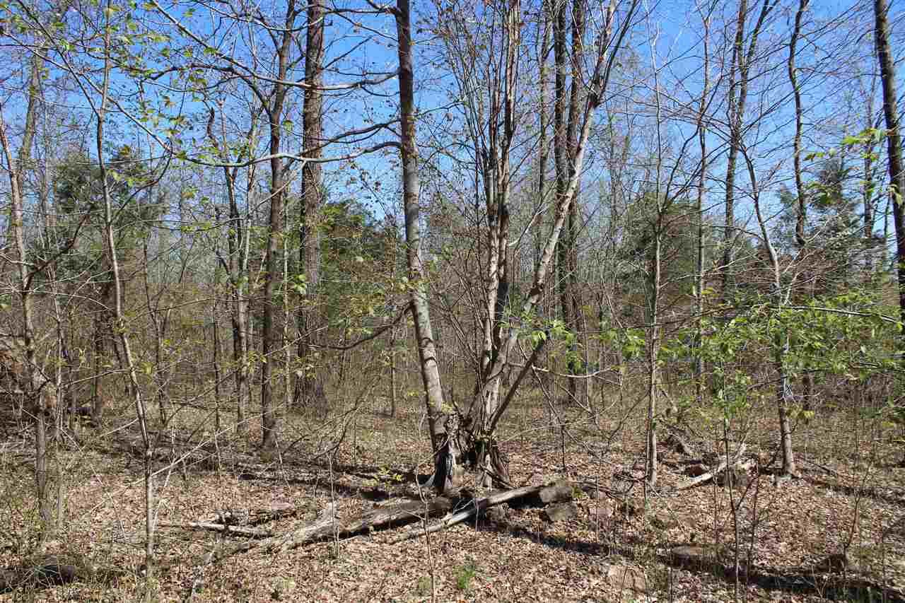83 Long Fall Road Cub Run, KY 42729 - Photo 23 of 32 Gallery Image 23