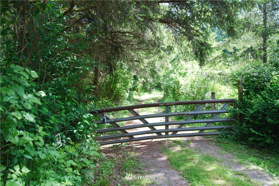 31115 Webster Road East Eatonville, WA 98328 - Photo 1 of 11 Gallery Image 1