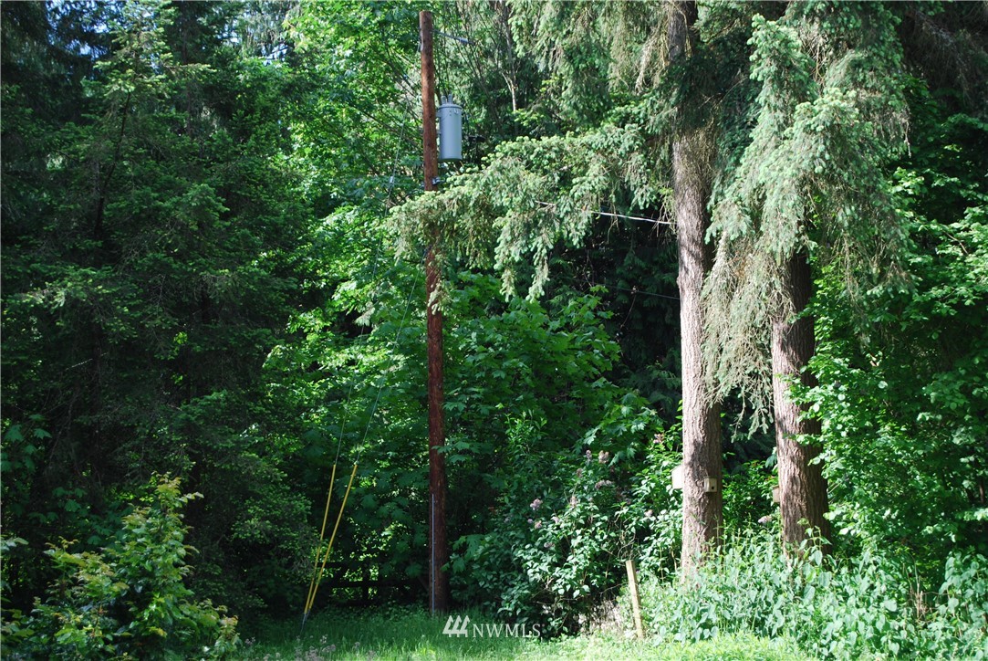 31115 Webster Road East Eatonville, WA 98328 - Photo 5 of 11 Gallery Image 5