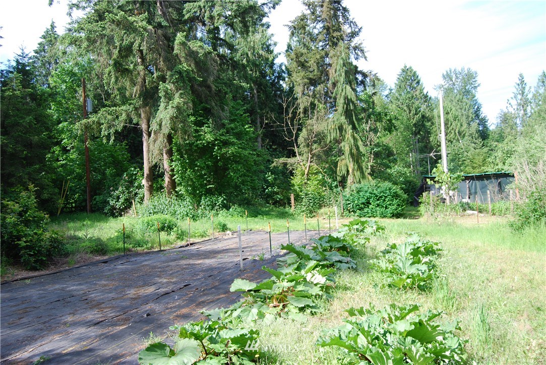 31115 Webster Road East Eatonville, WA 98328 - Photo 7 of 11 Gallery Image 7