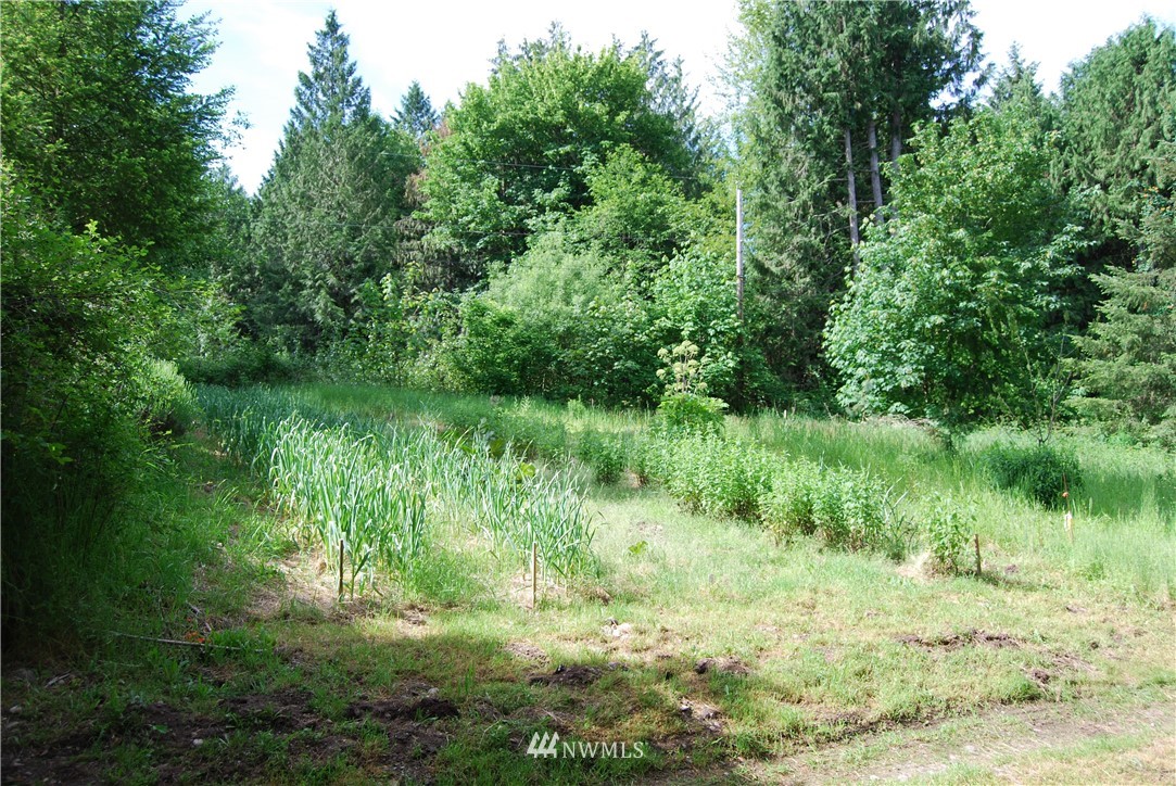 31115 Webster Road East Eatonville, WA 98328 - Photo 9 of 11 Gallery Image 9