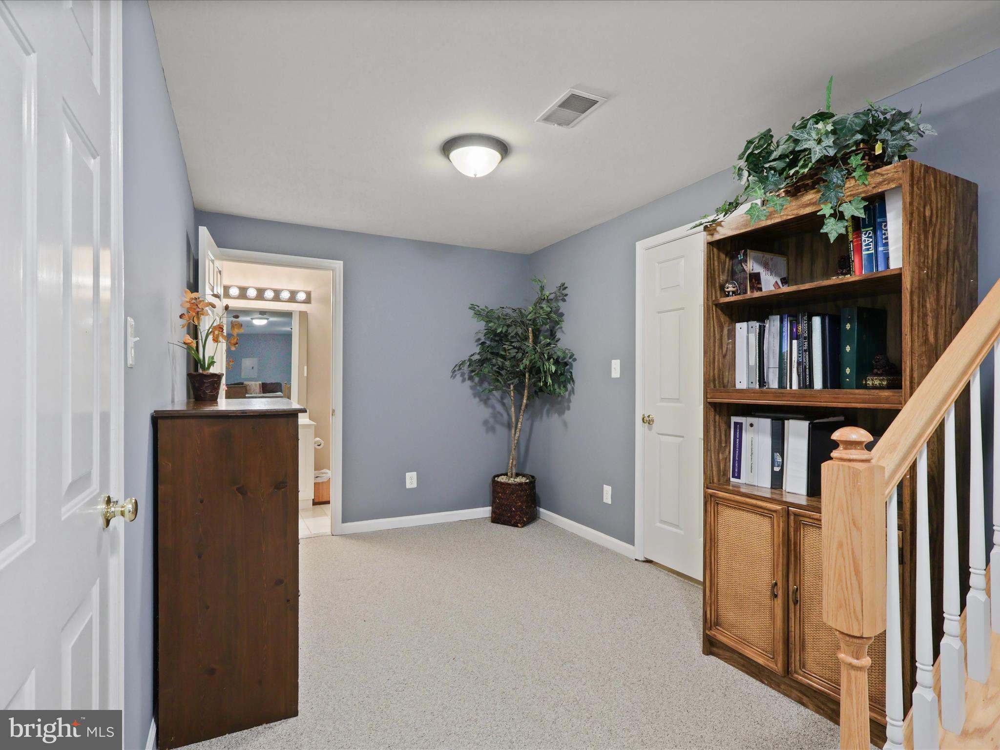 6069 Beverleys Mill Road Broad Run, VA 20137 - Photo 38 of 60 Lower Level Hall