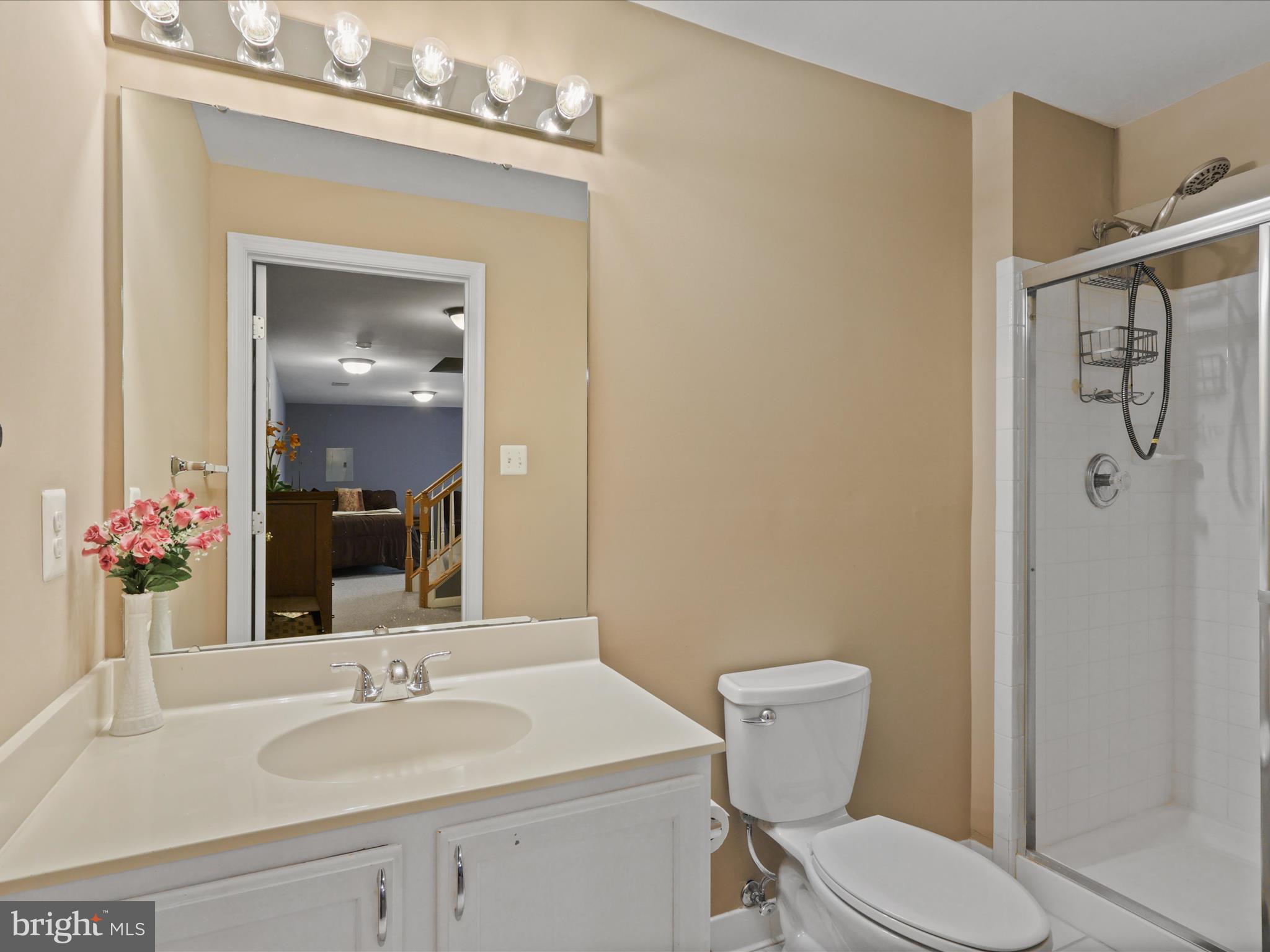 6069 Beverleys Mill Road Broad Run, VA 20137 - Photo 39 of 60 Lower Level Full Bath