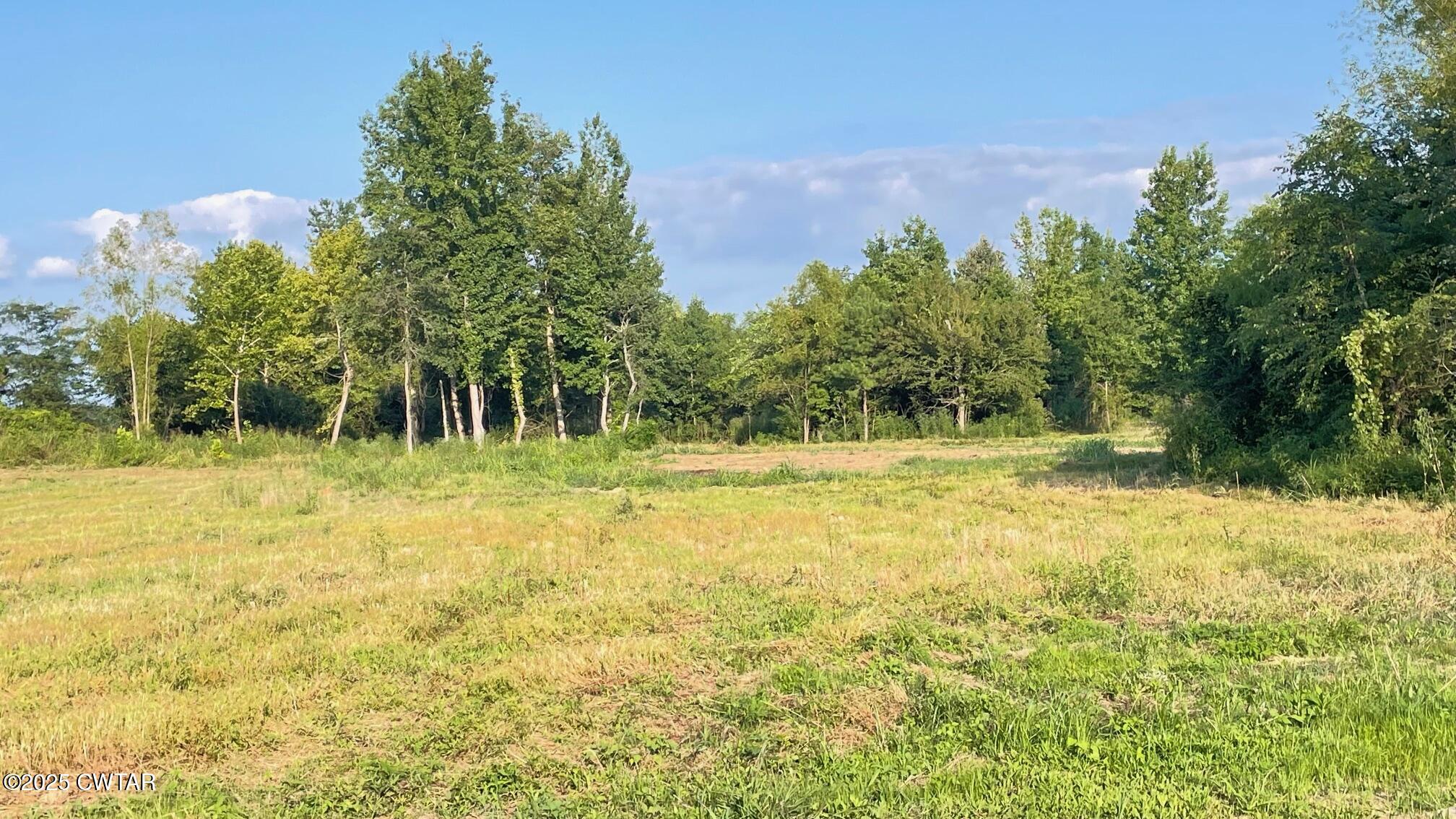 92 Barnes Road Medina, TN 38355 - Photo 17 of 22 a garden view
