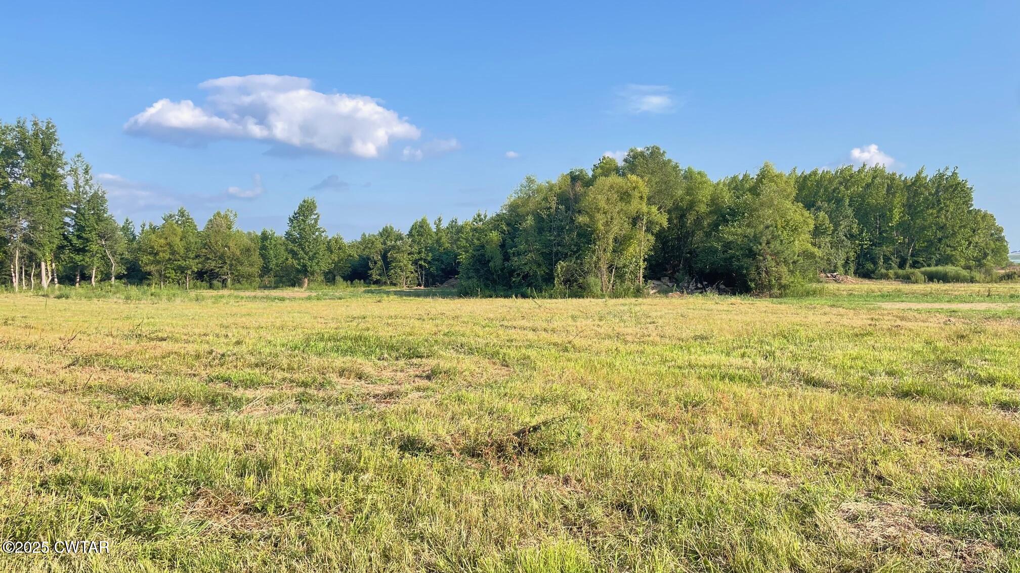 92 Barnes Road Medina, TN 38355 - Photo 19 of 22 a view of a lake view