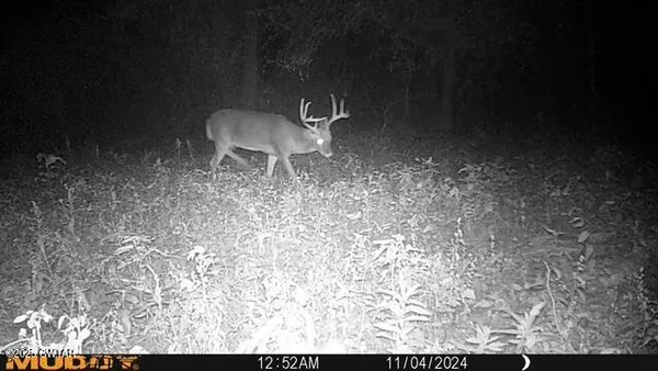 a view of balcony with furniture