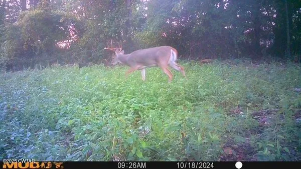a backyard of a house with seating space