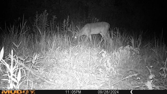 92 Barnes Road Medina, TN 38355 - Photo 8 of 22 a view of balcony with furniture