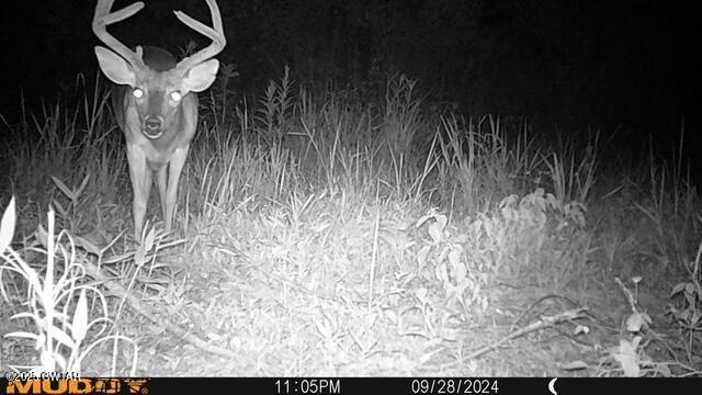 92 Barnes Road Medina, TN 38355 - Photo 10 of 22 a view of washer and dryer