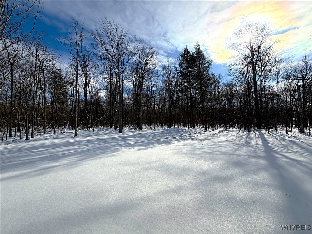 595 Seneca Road Evans, NY 14006 - Photo 35 of 36
