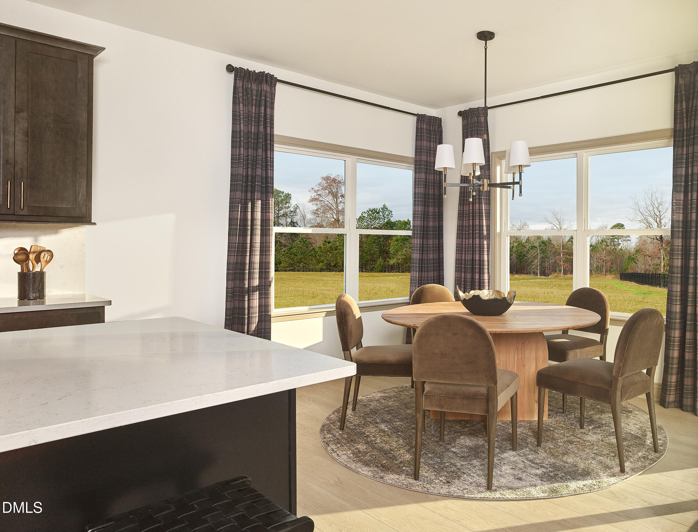 936 Fetching Place, Unit 349 Rolesville, NC 27571 - Photo 6 of 28 RAL_PNT_Benson_BREAK_1