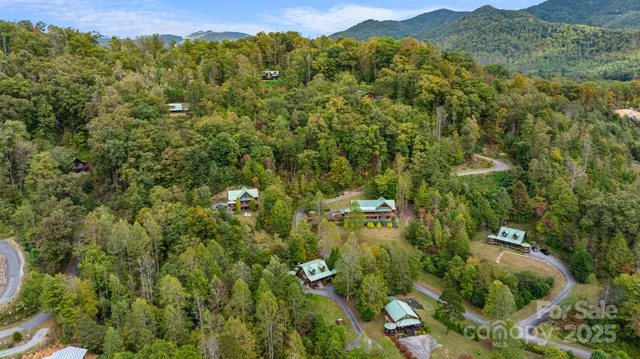 a view of a city with lush green forest