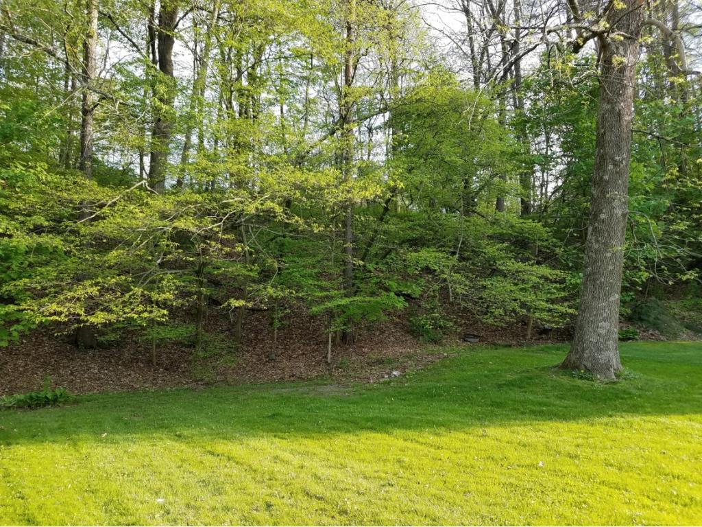 80 Ballyhack Road Port Crane, NY 13833 - Photo 31 of 31 Gallery Image 31
