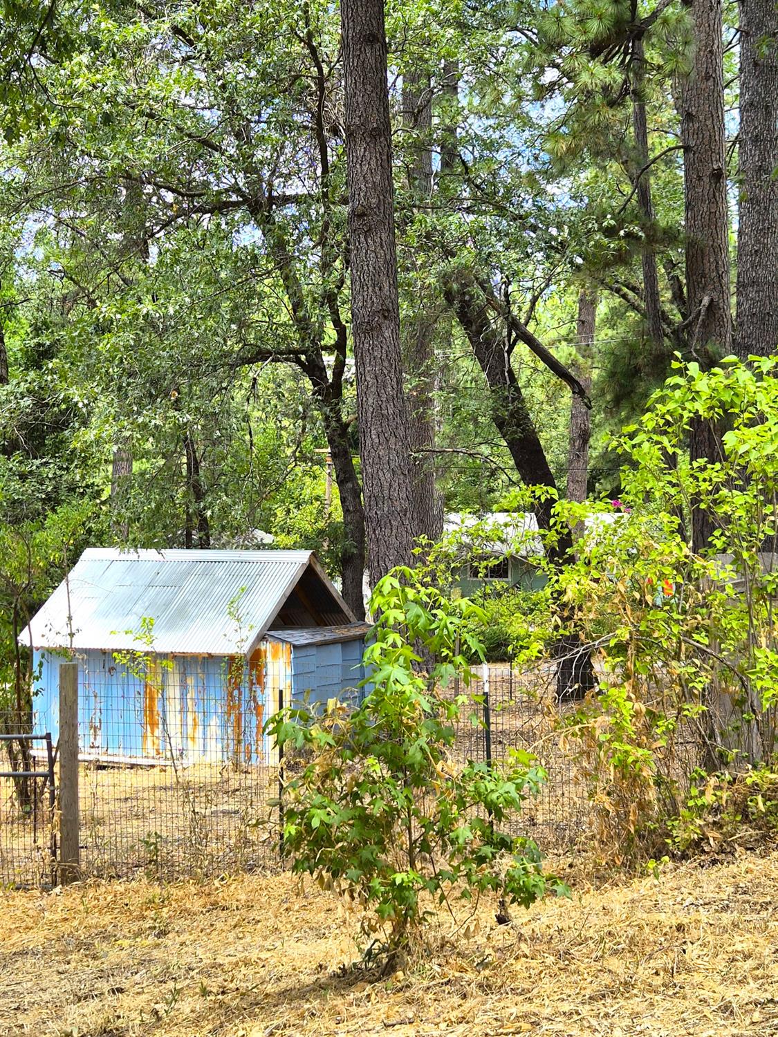 14405 Talking Pines Road Grass Valley, CA 95945 - Photo 8 of 17