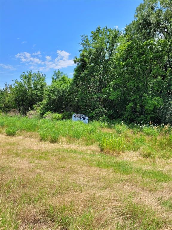 1175 Southwest Loop 286 Paris, TX 75460 - Photo 5 of 6 a view of an ocean from a yard