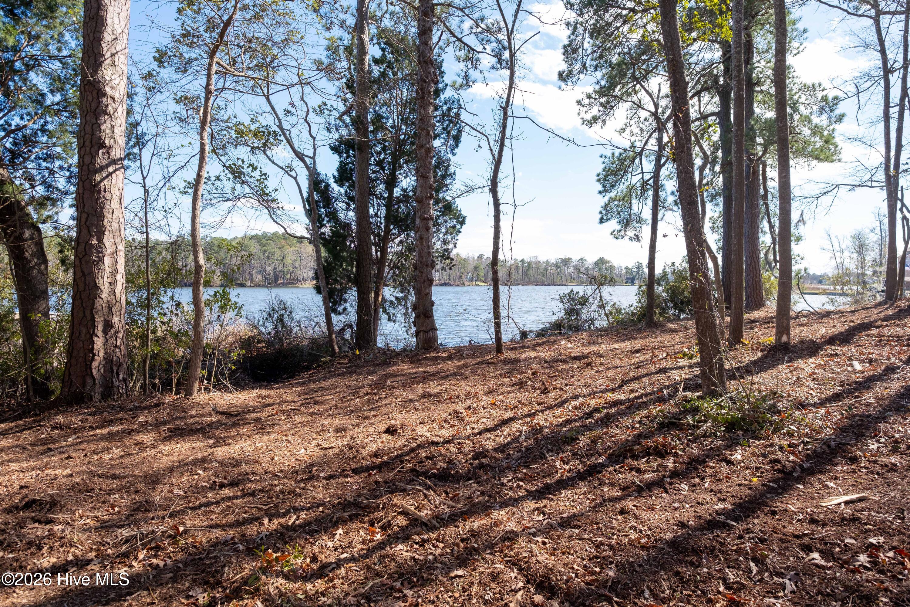 668 Sawmill Landing Road Bath, NC 27808 - Photo 2 of 30 DSCF4106