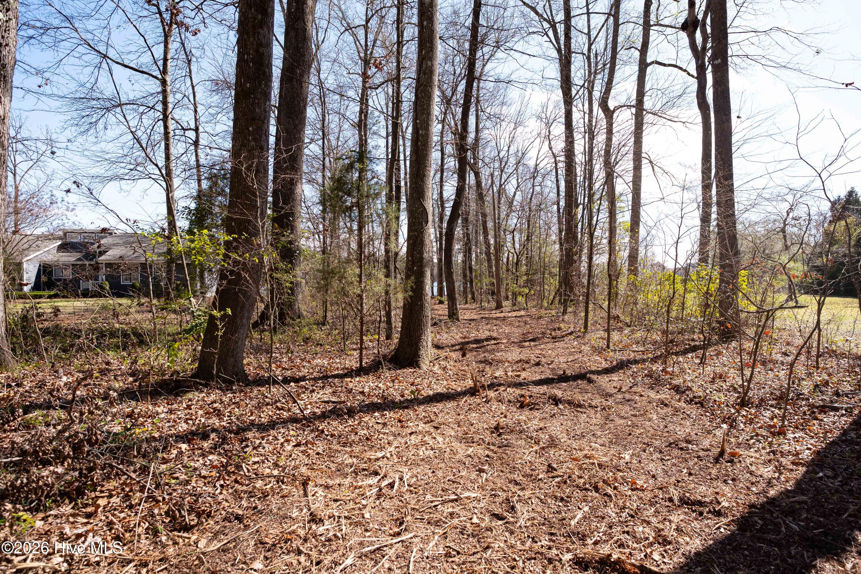 668 Sawmill Landing Road Bath, NC 27808 - Photo 21 of 30 DSCF4100