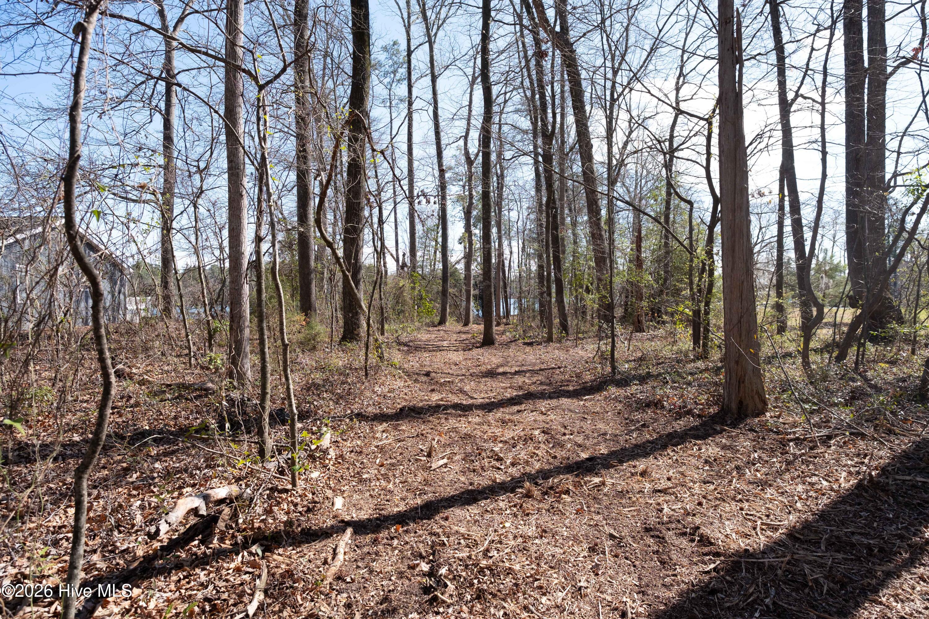 668 Sawmill Landing Road Bath, NC 27808 - Photo 22 of 30 DSCF4101