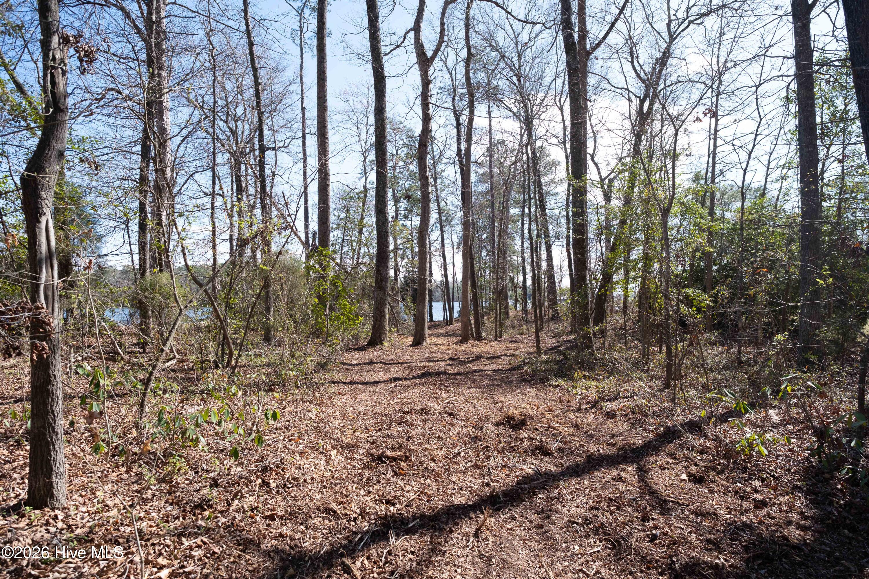 668 Sawmill Landing Road Bath, NC 27808 - Photo 23 of 30 DSCF4102