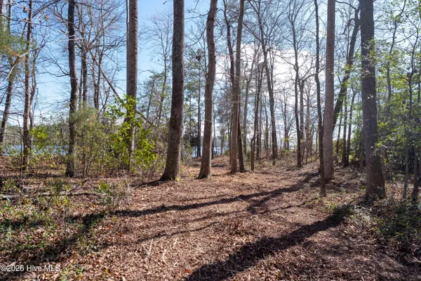 $195,000 | 668 Sawmill Landing Road, Bath, NC 27808