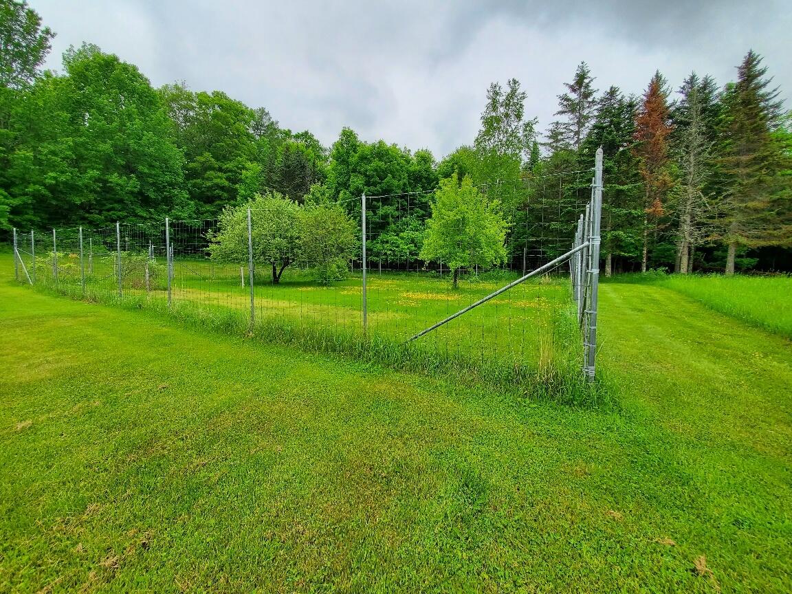 92 Huff Road Cornville, ME 04976 - Photo 71 of 121 orchard w/deer fencing