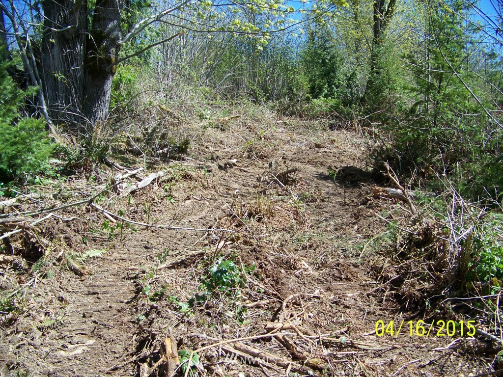 5 Wigley Road Southeast Centralia, WA 98531 - Photo 2 of 16 Gallery Image 2
