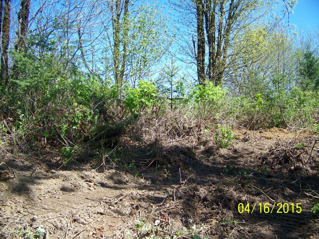 5 Wigley Road Southeast Centralia, WA 98531 - Photo 12 of 16 Gallery Image 12