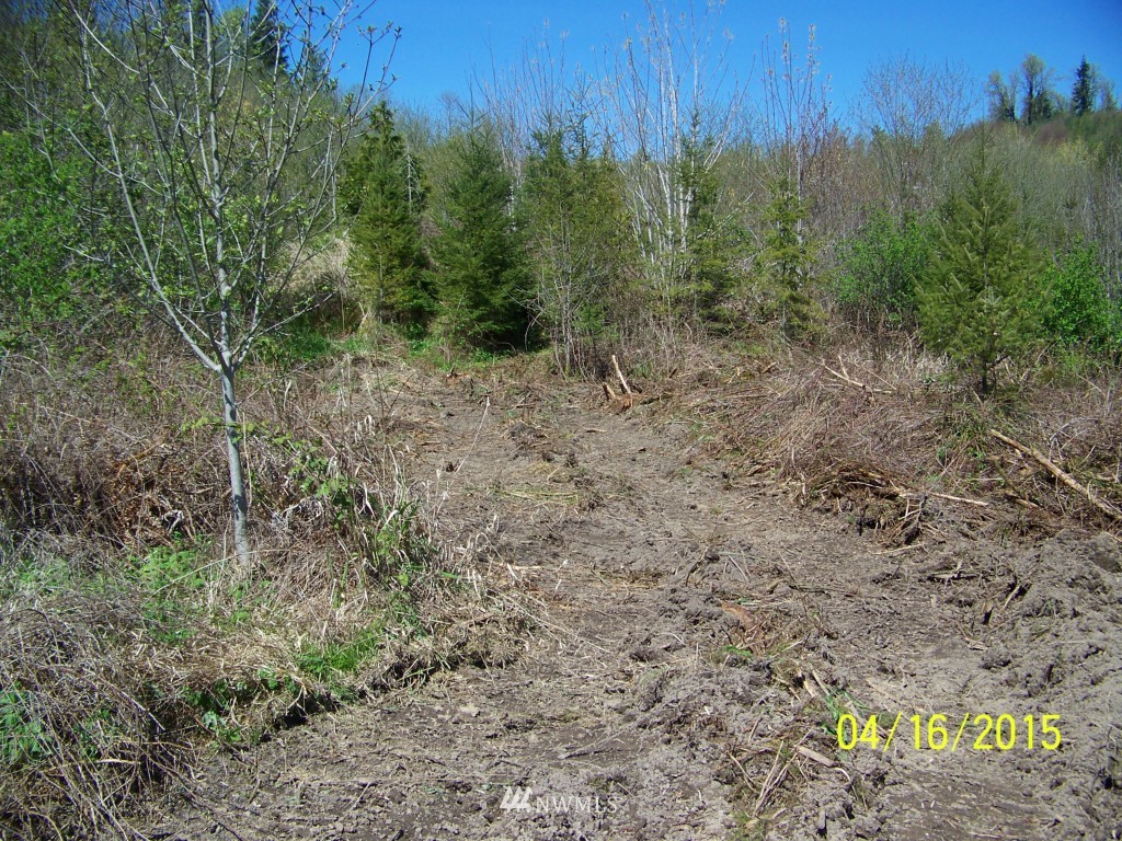 5 Wigley Road Southeast Centralia, WA 98531 - Photo 14 of 16 Gallery Image 14