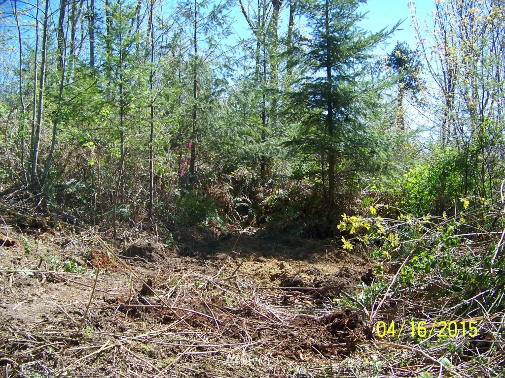 5 Wigley Road Southeast Centralia, WA 98531 - Photo 5 of 16 Gallery Image 5