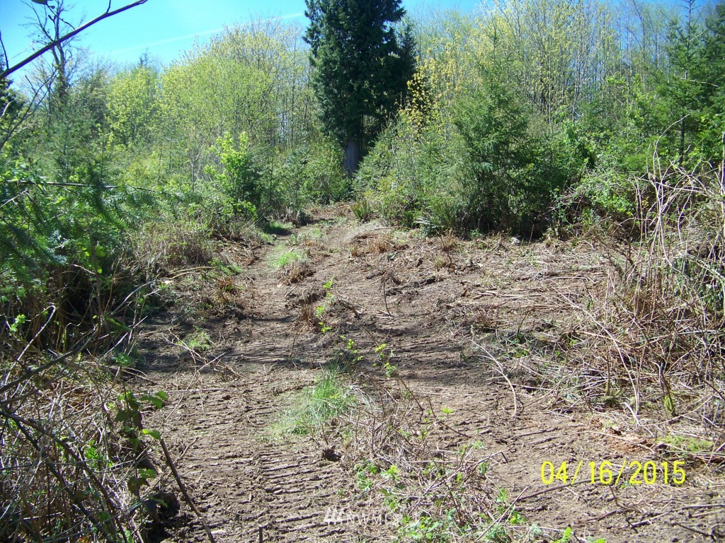 5 Wigley Road Southeast Centralia, WA 98531 - Photo 6 of 16 Gallery Image 6
